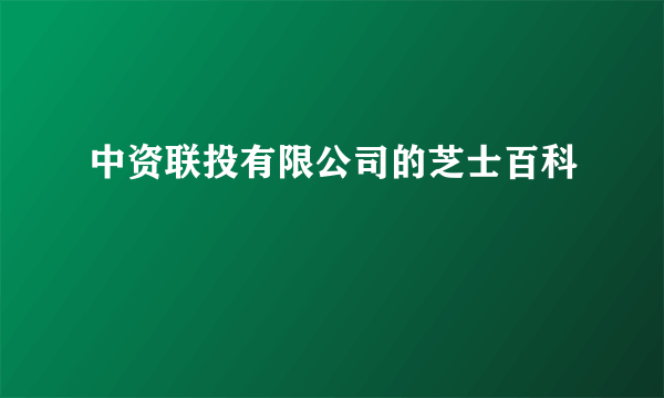 中资联投有限公司的芝士百科