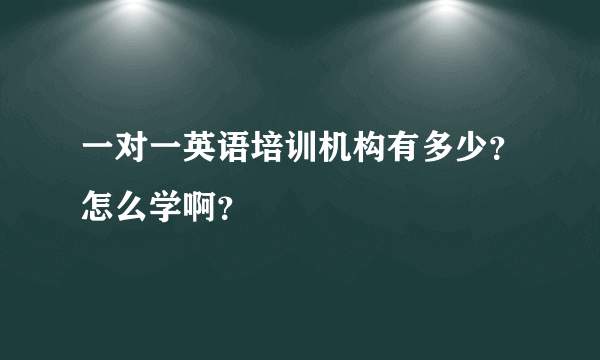 一对一英语培训机构有多少？怎么学啊？