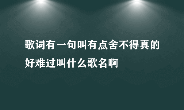 歌词有一句叫有点舍不得真的好难过叫什么歌名啊