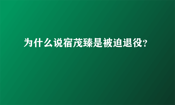 为什么说宿茂臻是被迫退役？