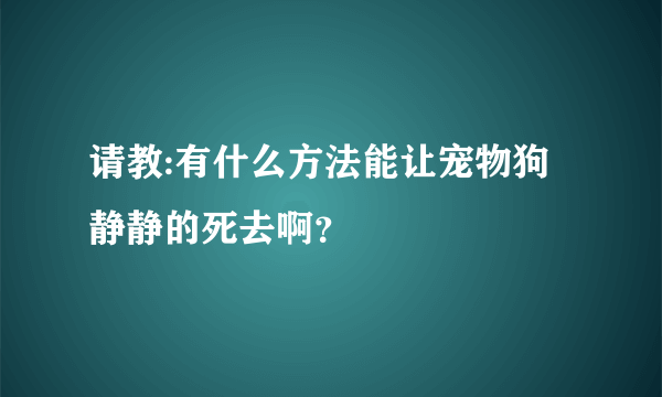 请教:有什么方法能让宠物狗静静的死去啊？