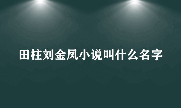 田柱刘金凤小说叫什么名字