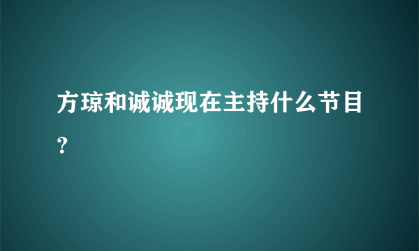 方琼和诚诚现在主持什么节目？