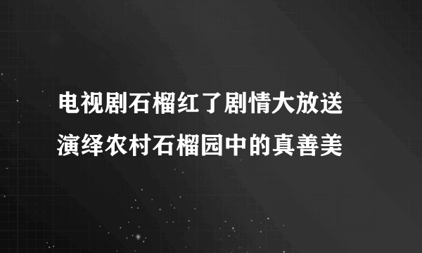 电视剧石榴红了剧情大放送 演绎农村石榴园中的真善美