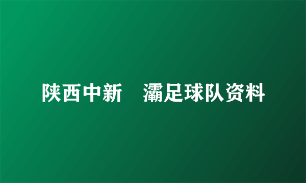 陕西中新浐灞足球队资料