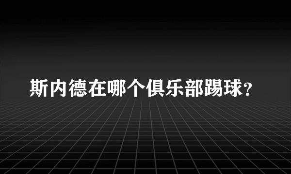 斯内德在哪个俱乐部踢球？