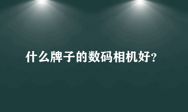 什么牌子的数码相机好？