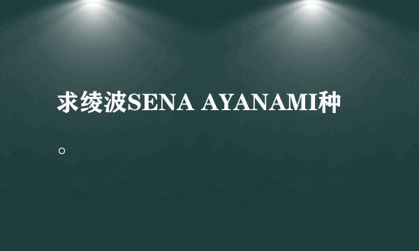 求绫波SENA AYANAMI种。