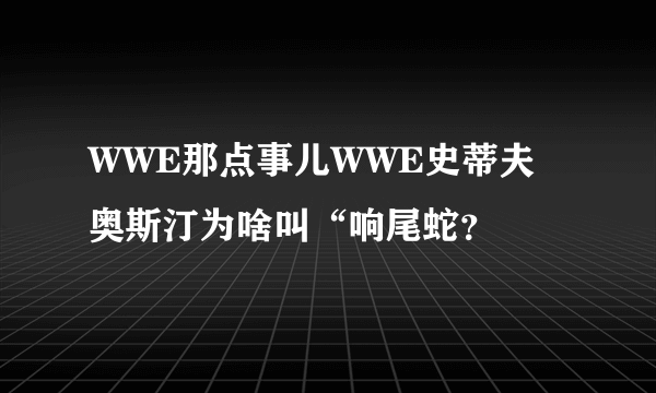 WWE那点事儿WWE史蒂夫奥斯汀为啥叫“响尾蛇？