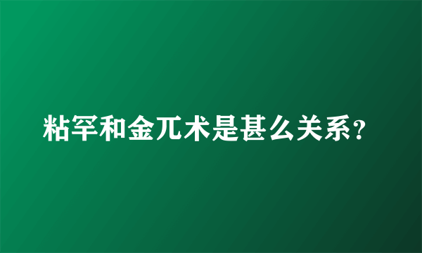 粘罕和金兀术是甚么关系？