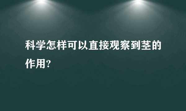 科学怎样可以直接观察到茎的作用?