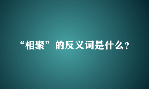 “相聚”的反义词是什么？