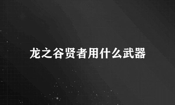 龙之谷贤者用什么武器