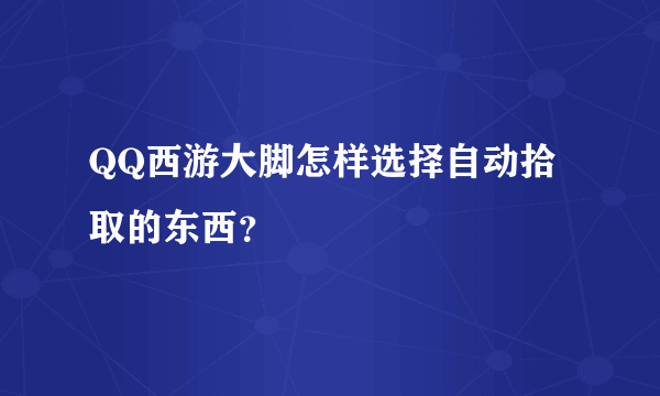 QQ西游大脚怎样选择自动拾取的东西？