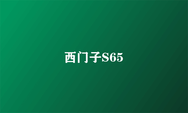 西门子S65