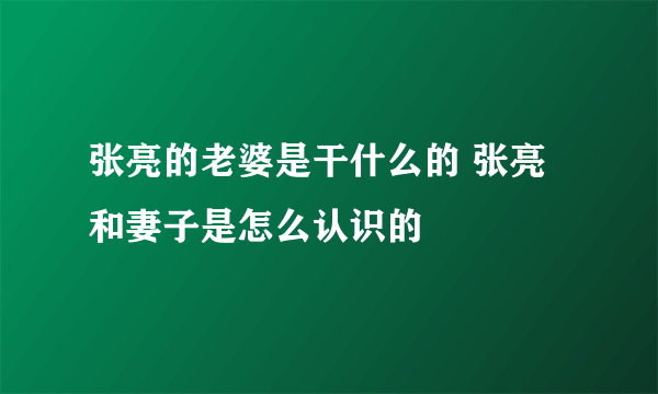 张亮的老婆是干什么的 张亮和妻子是怎么认识的