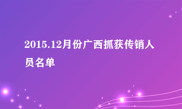 2015.12月份广西抓获传销人员名单