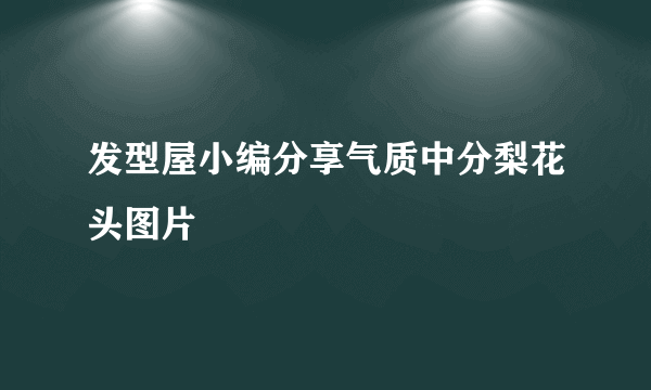 发型屋小编分享气质中分梨花头图片