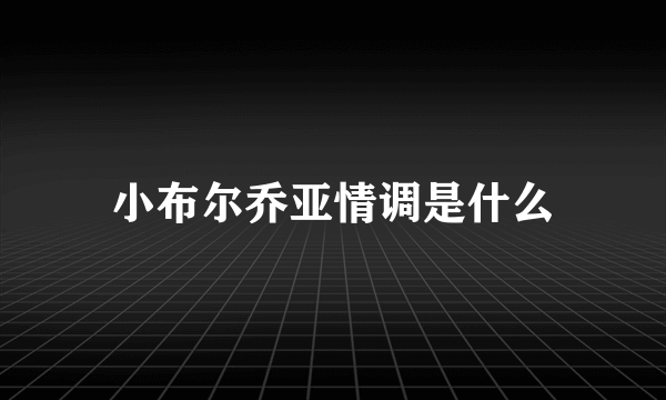 小布尔乔亚情调是什么