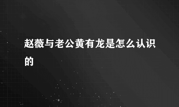 赵薇与老公黄有龙是怎么认识的