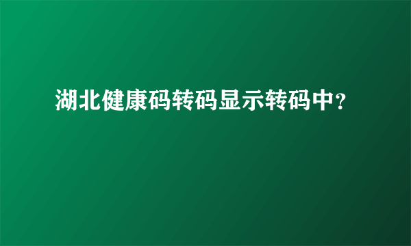 湖北健康码转码显示转码中？