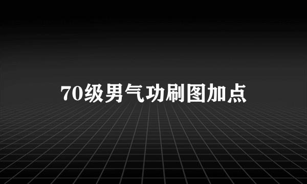 70级男气功刷图加点