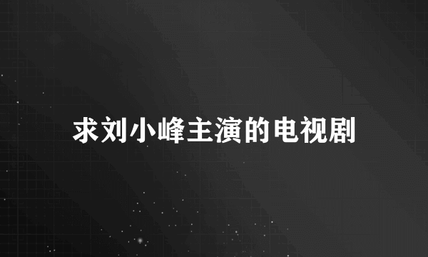 求刘小峰主演的电视剧