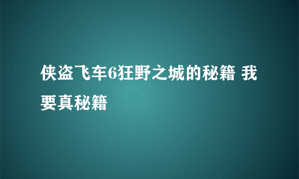 侠盗飞车6狂野之城的秘籍 我要真秘籍