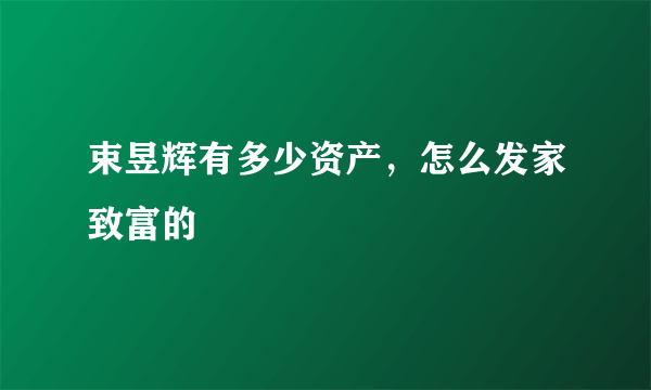 束昱辉有多少资产，怎么发家致富的