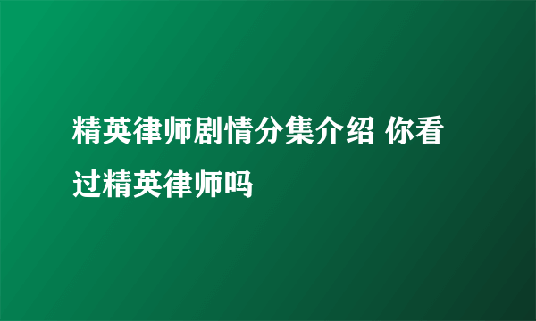 精英律师剧情分集介绍 你看过精英律师吗