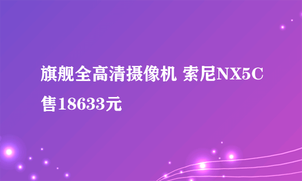 旗舰全高清摄像机 索尼NX5C售18633元