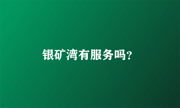 银矿湾有服务吗？