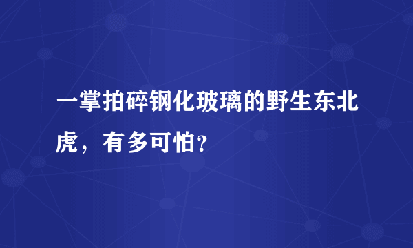 一掌拍碎钢化玻璃的野生东北虎，有多可怕？