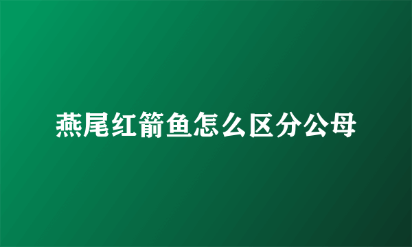 燕尾红箭鱼怎么区分公母