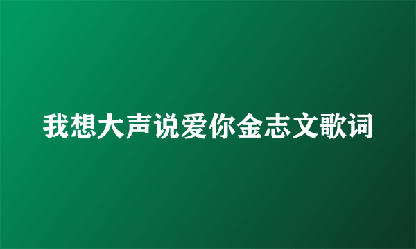 我想大声说爱你金志文歌词