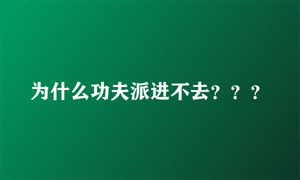 为什么功夫派进不去？？？