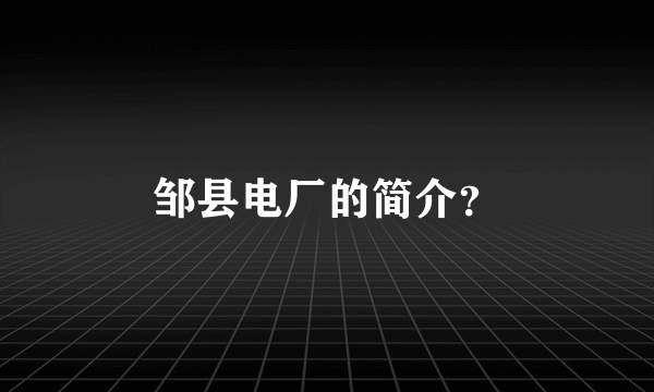 邹县电厂的简介？