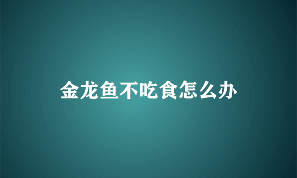 金龙鱼不吃食怎么办