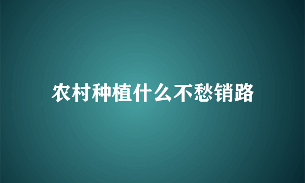 农村种植什么不愁销路