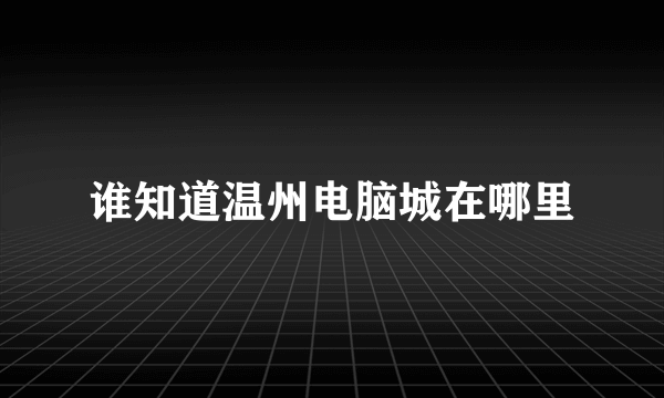 谁知道温州电脑城在哪里